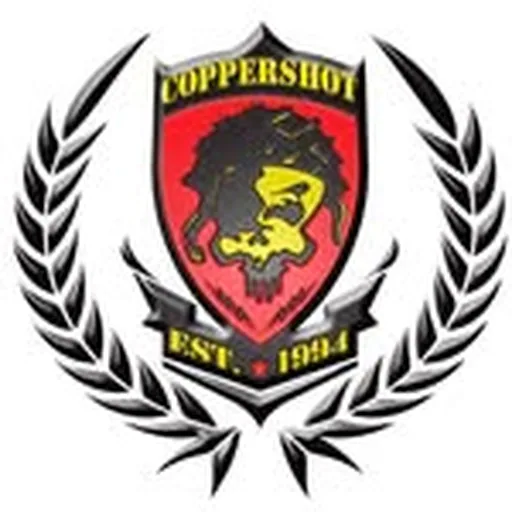 @coppershotmusic profile image