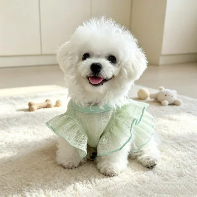 @cora.petlife profile image