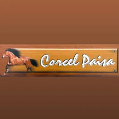 @corcelpaisavillavo profile image