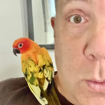 @coreyallenkotler profile image