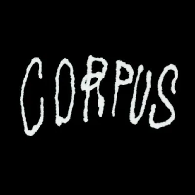 @corpus.nyc profile image