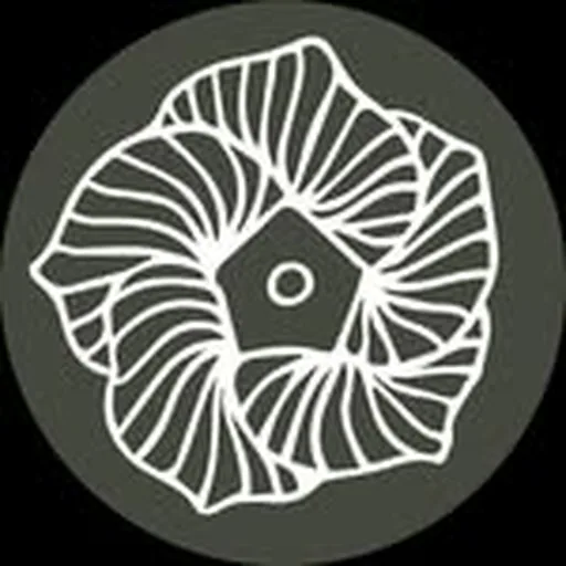 @coterie_chs profile image