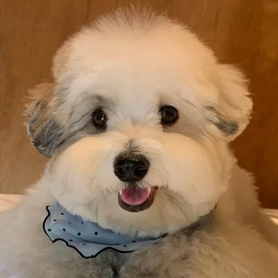 @coton.imtori profile image
