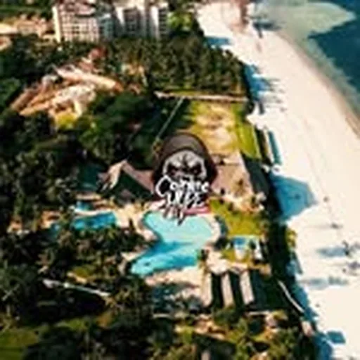@countree_hype profile image
