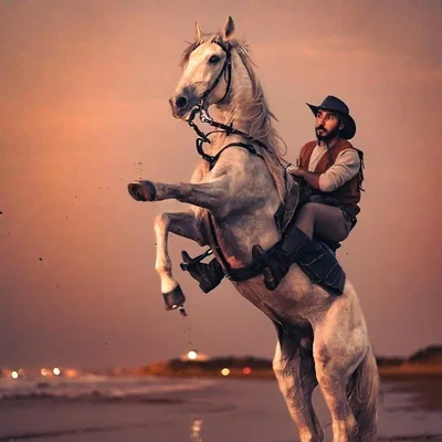 @cowboy_mohammed profile image