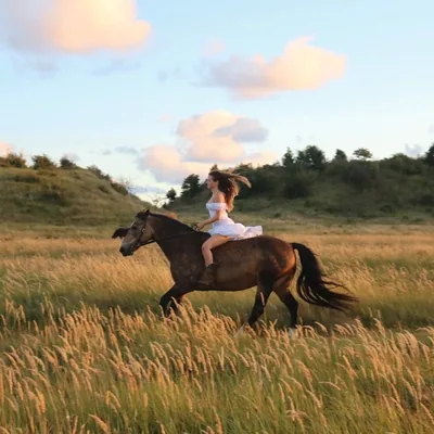 @cowgirljaira profile image