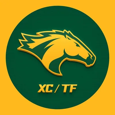 @cppxc_tf profile image