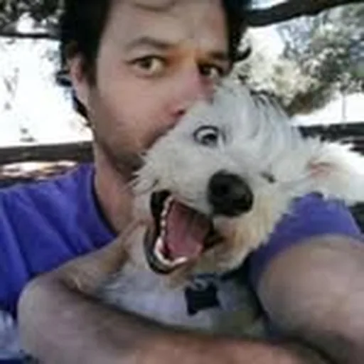 @crappilydrawnpets profile image