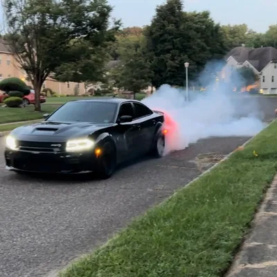 @crazyhellcatlady profile image