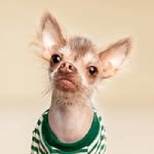@cricketthegremlin profile image