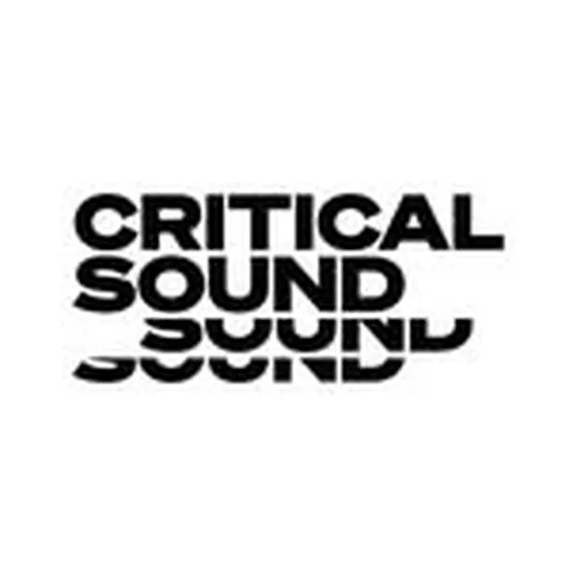 @critical_sound profile image