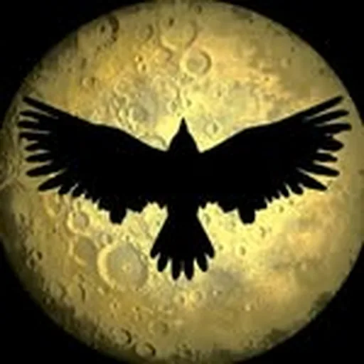 @crowbaraustin profile image