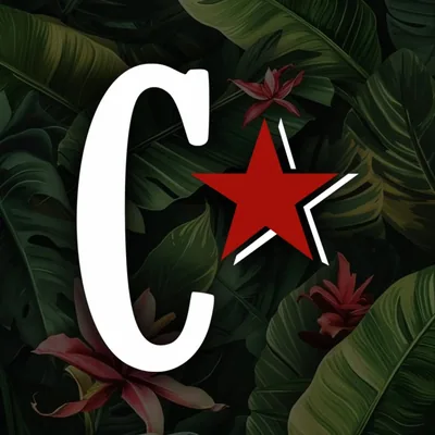@cubarista profile image