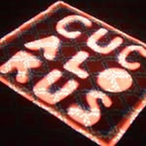 @cucalorus profile image