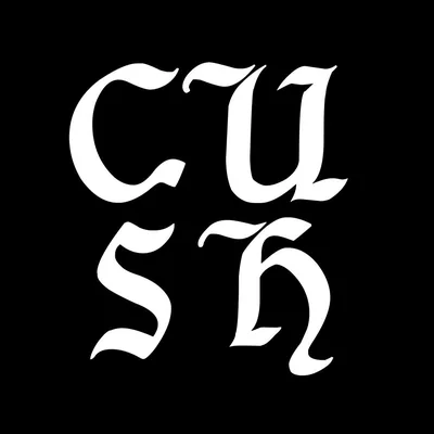 @cucculellishaheen profile image