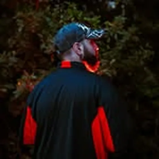 @cultus_vis profile image