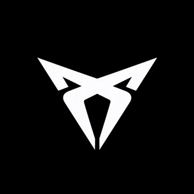 @cupra_france profile image