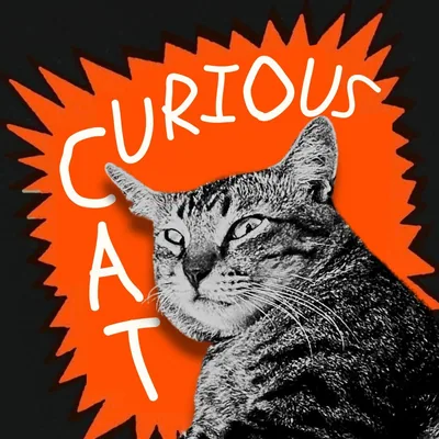 @curiouscatlu profile image