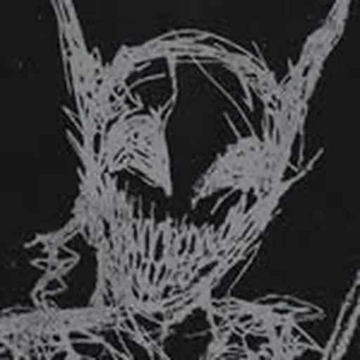 @curlyart_ profile image