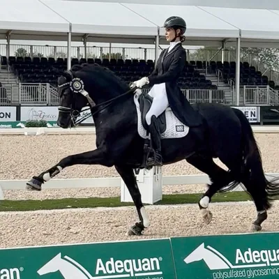 @cvrdressage profile image