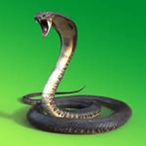 @cwynars profile image