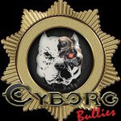 @cyborgbullies profile image