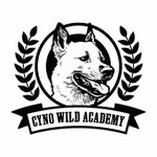 @cyno_wild profile image