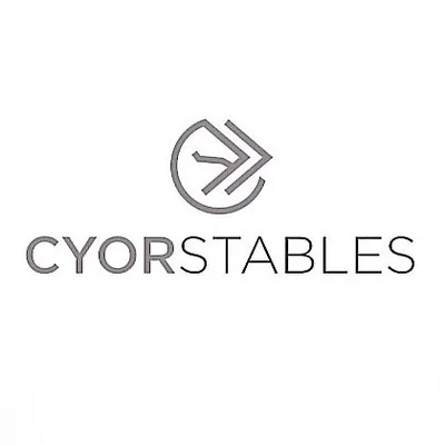 @cyor_stables profile image