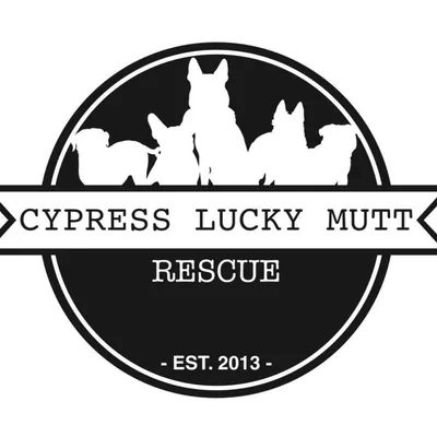 @cypressluckymuttrescue profile image