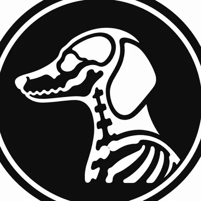 @dachdynamics profile image