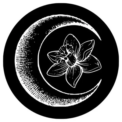 @daffodil_noire profile image