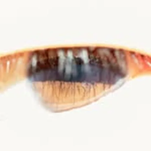 @dahahm profile image