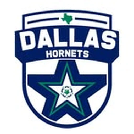 @dallashornetssc profile image