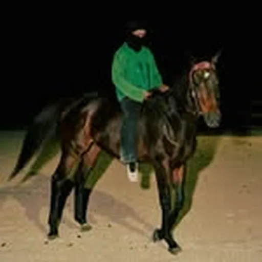@dameatlas profile image