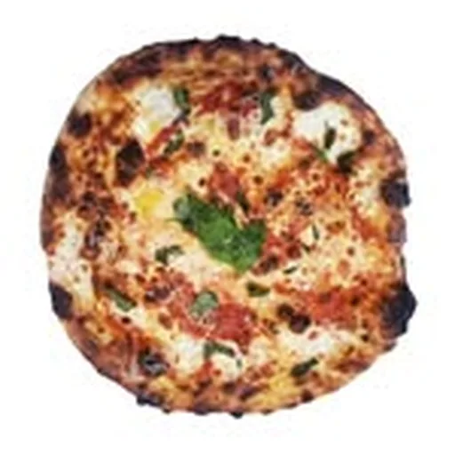 @damnfineco profile image