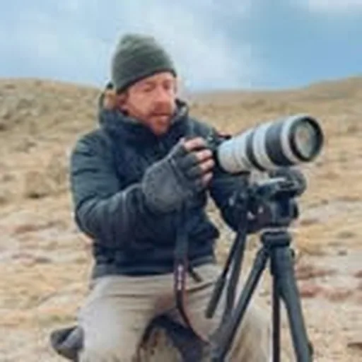 @danielalford_ profile image