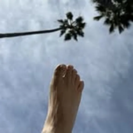 @dannydevito profile image