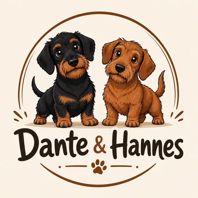 @dante_der_rauhaardackel profile image
