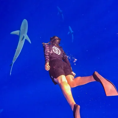 @dantemoon profile image