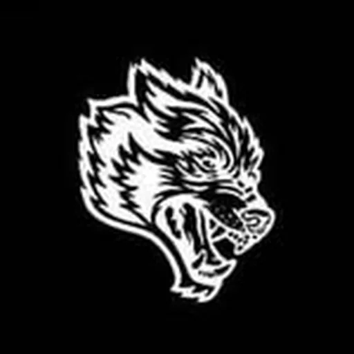 @darcsport profile image