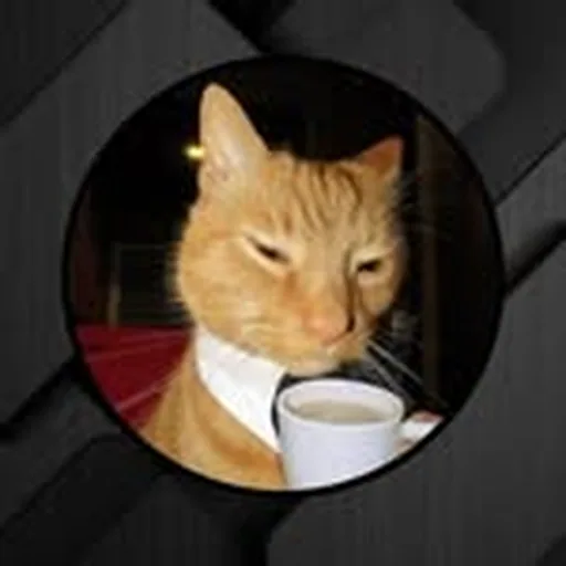 @darlan.souza01 profile image