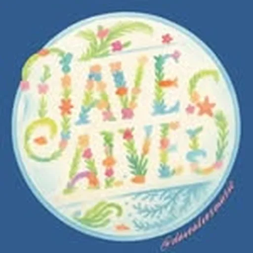 @davealvesmusic profile image