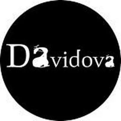@davidova_design profile image