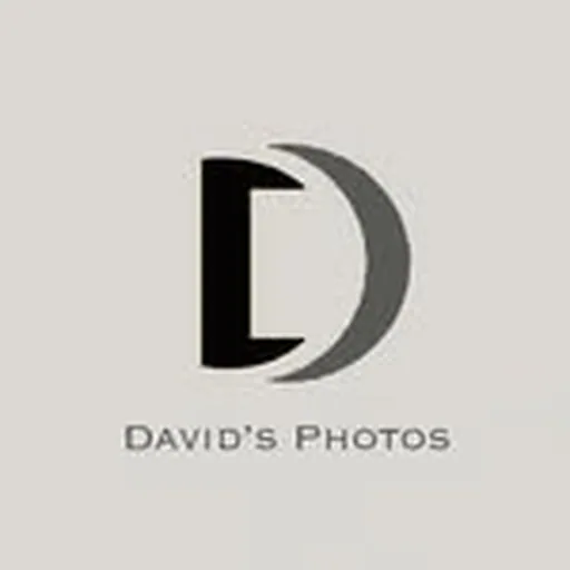 @davids_art_bnw profile image