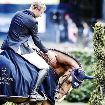 @davidwillshowjumper profile image