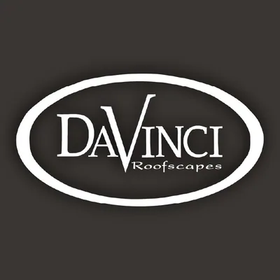 @davinciroof profile image