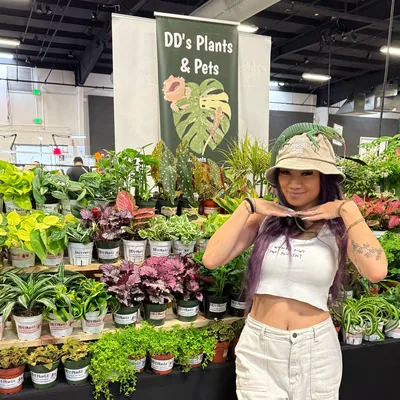 @dds.plants profile image