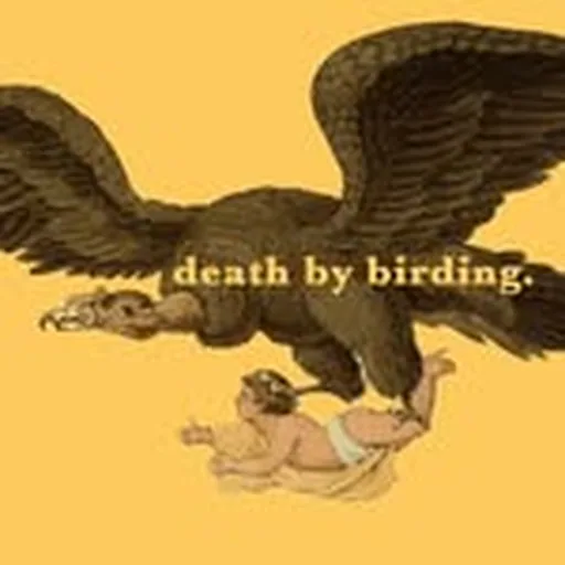@death_by_birding profile image