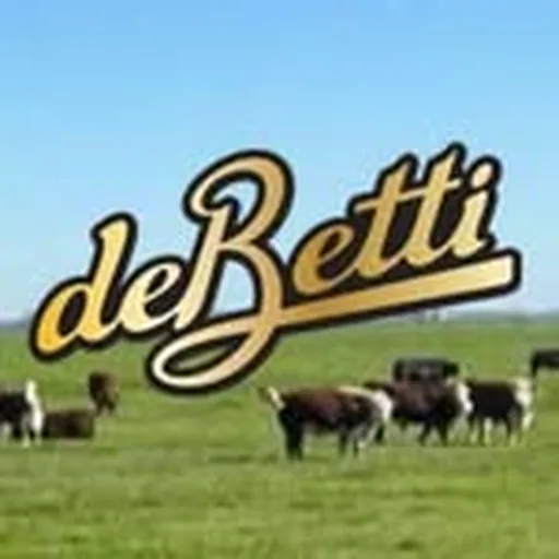 @debetti profile image