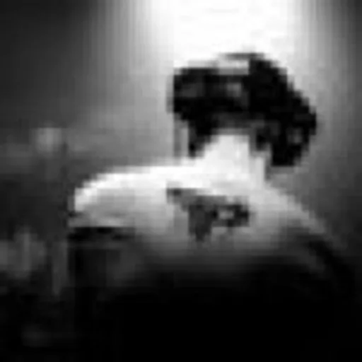 @deejahsta profile image